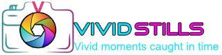 vividstills
