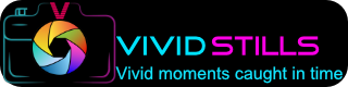 vividstills
